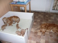 Wir Sind Umgezogen 1